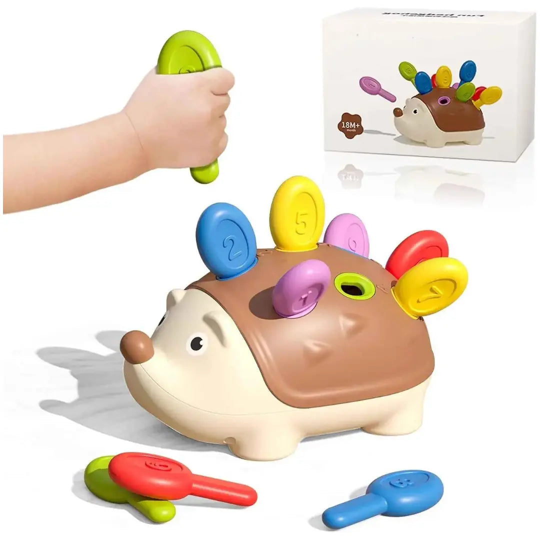 Brinquedo Ouriço montessori Educativo - Oriço