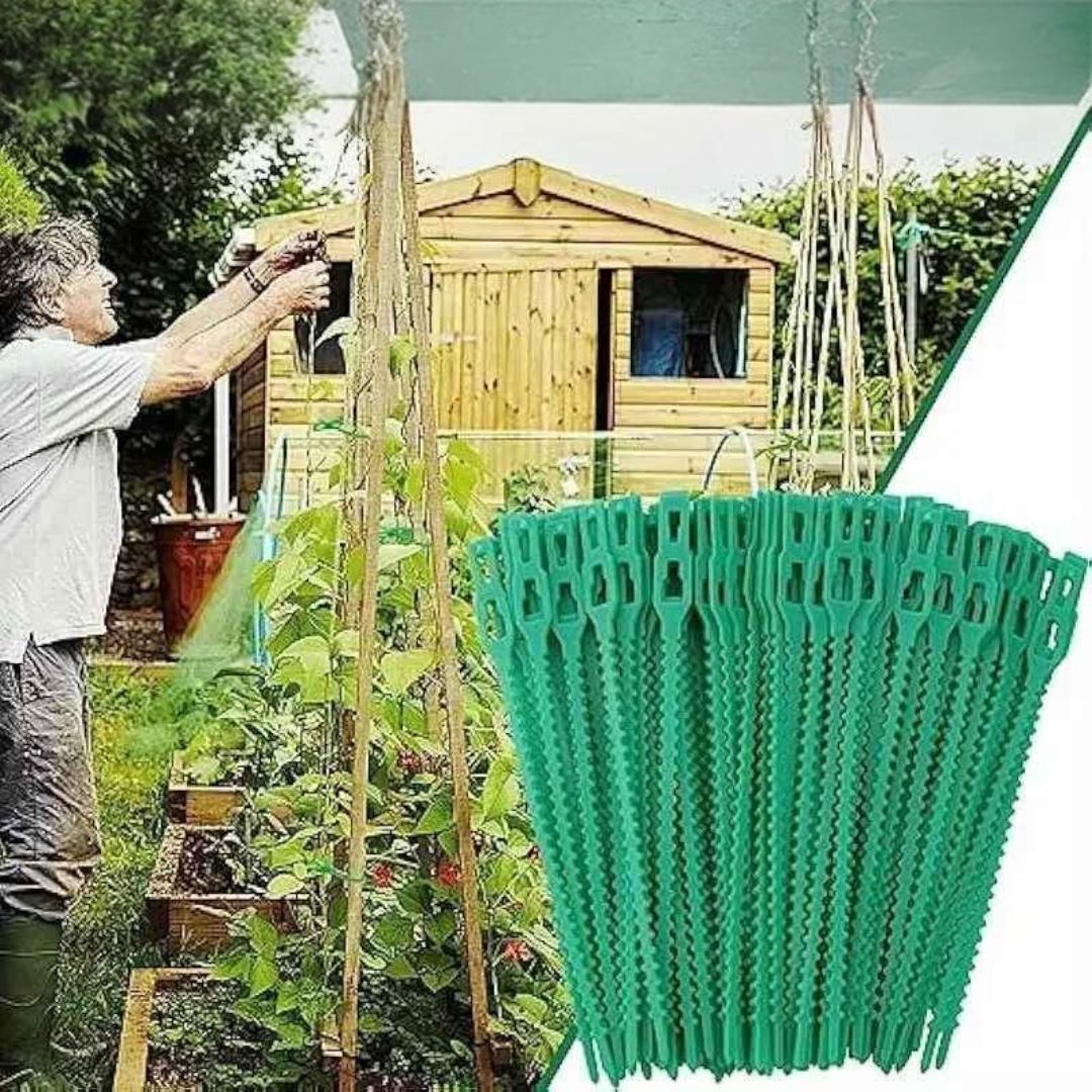 Abraçadeiras Tarap Enforca Gato Reutilizáveis para Jardim - Enfotarap