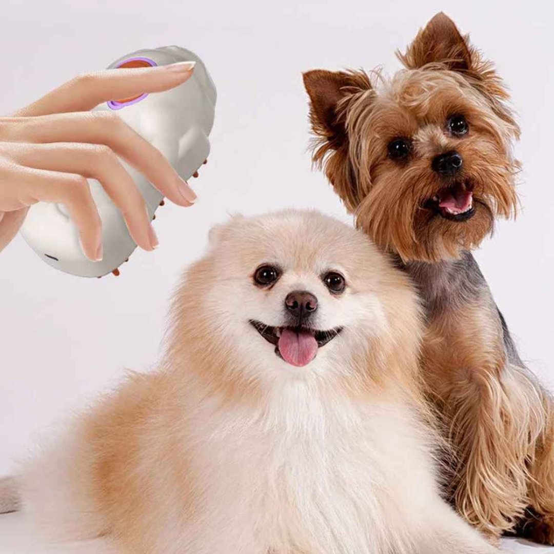 Escova de Banho Higiênico e Limpeza Recarregável 3 em 1 - Rexbrush
