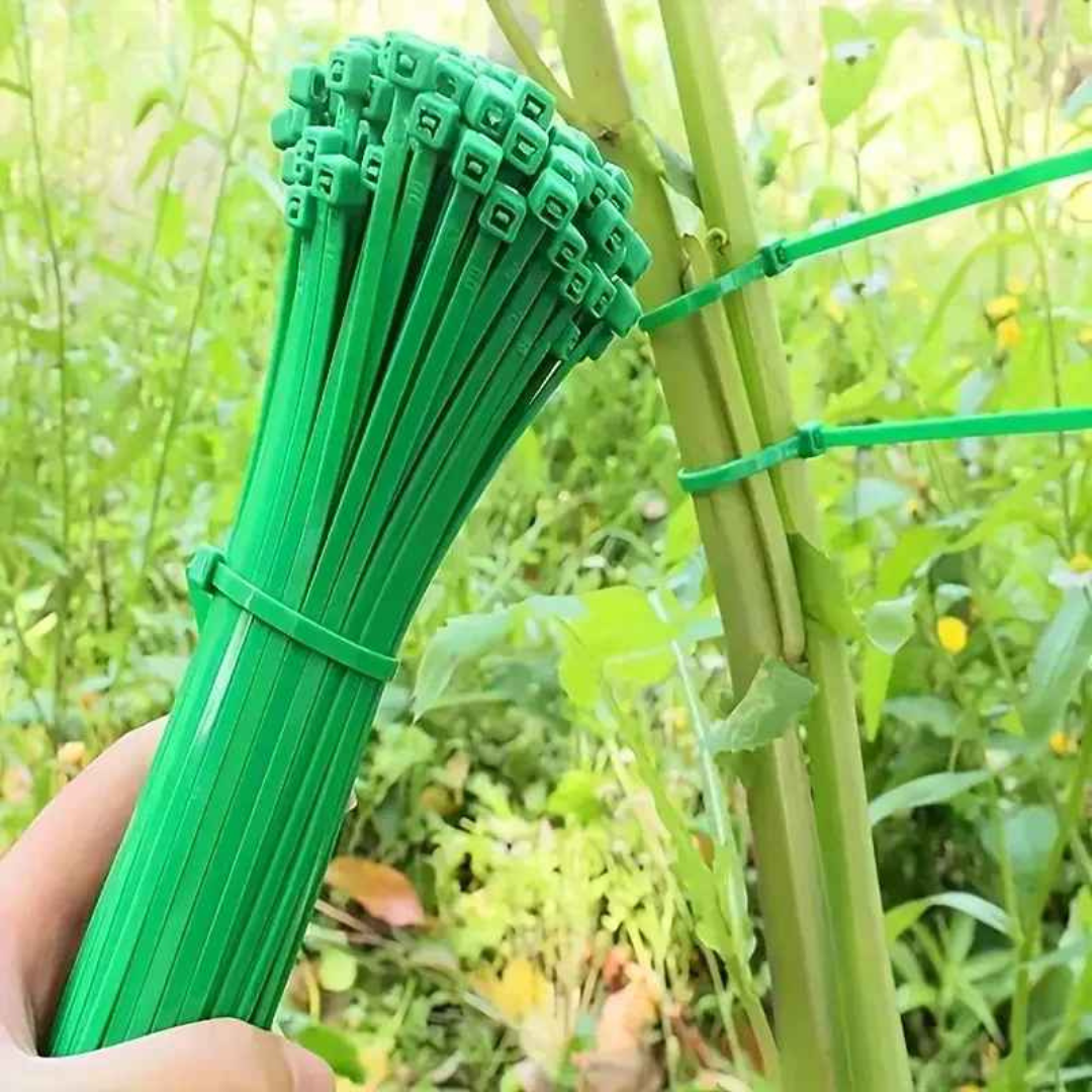 Abraçadeiras Tarap Enforca Gato Reutilizáveis para Jardim - Enfotarap