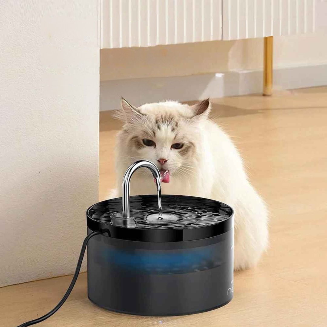 Bebedouro de Água para Pets com Filtro Automático - Bebspet