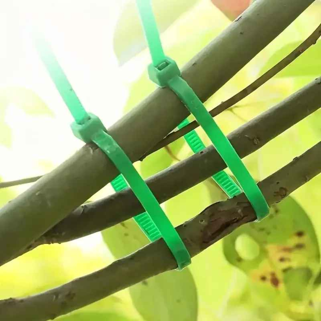 Abraçadeiras Tarap Enforca Gato Reutilizáveis para Jardim - Enfotarap