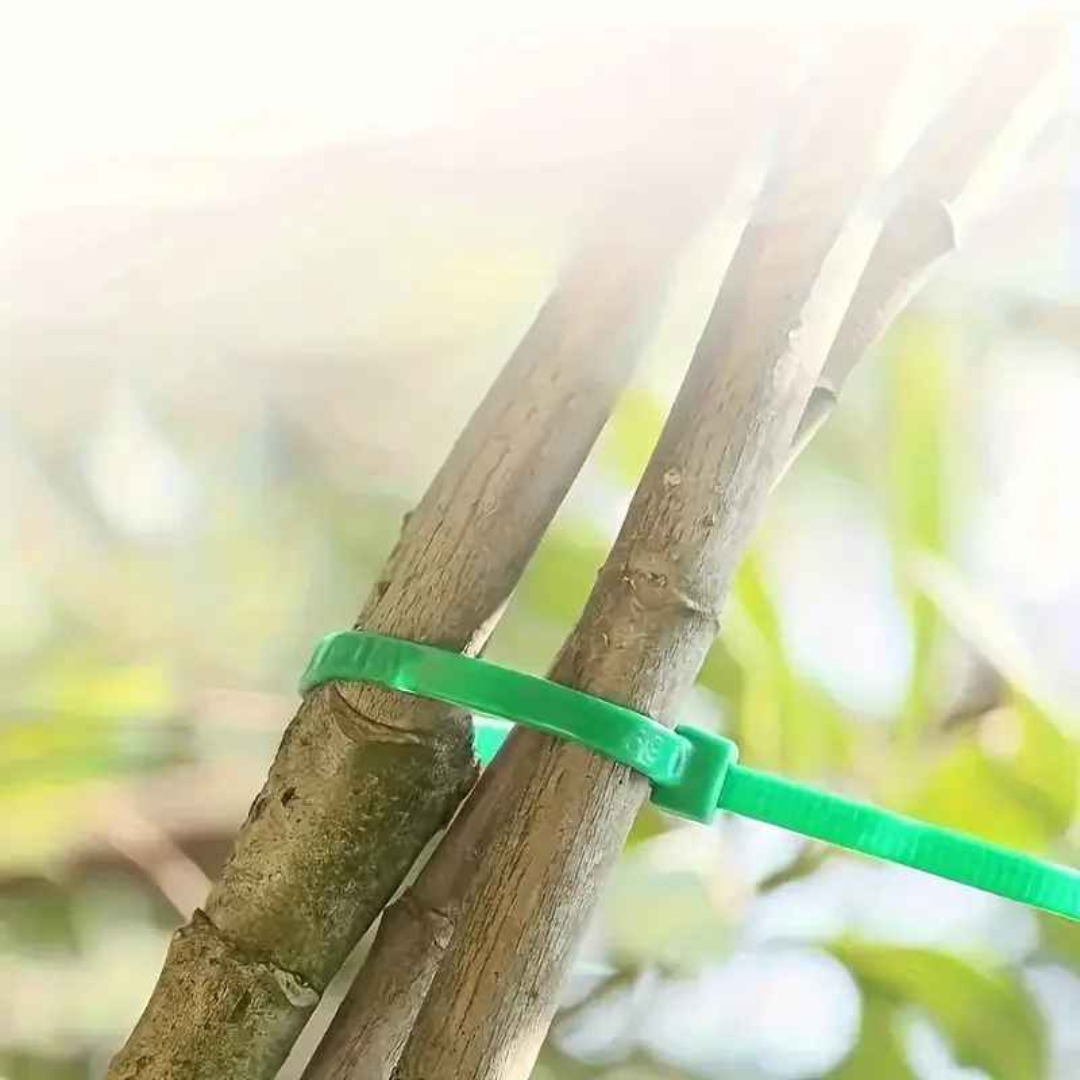 Abraçadeiras Tarap Enforca Gato Reutilizáveis para Jardim - Enfotarap