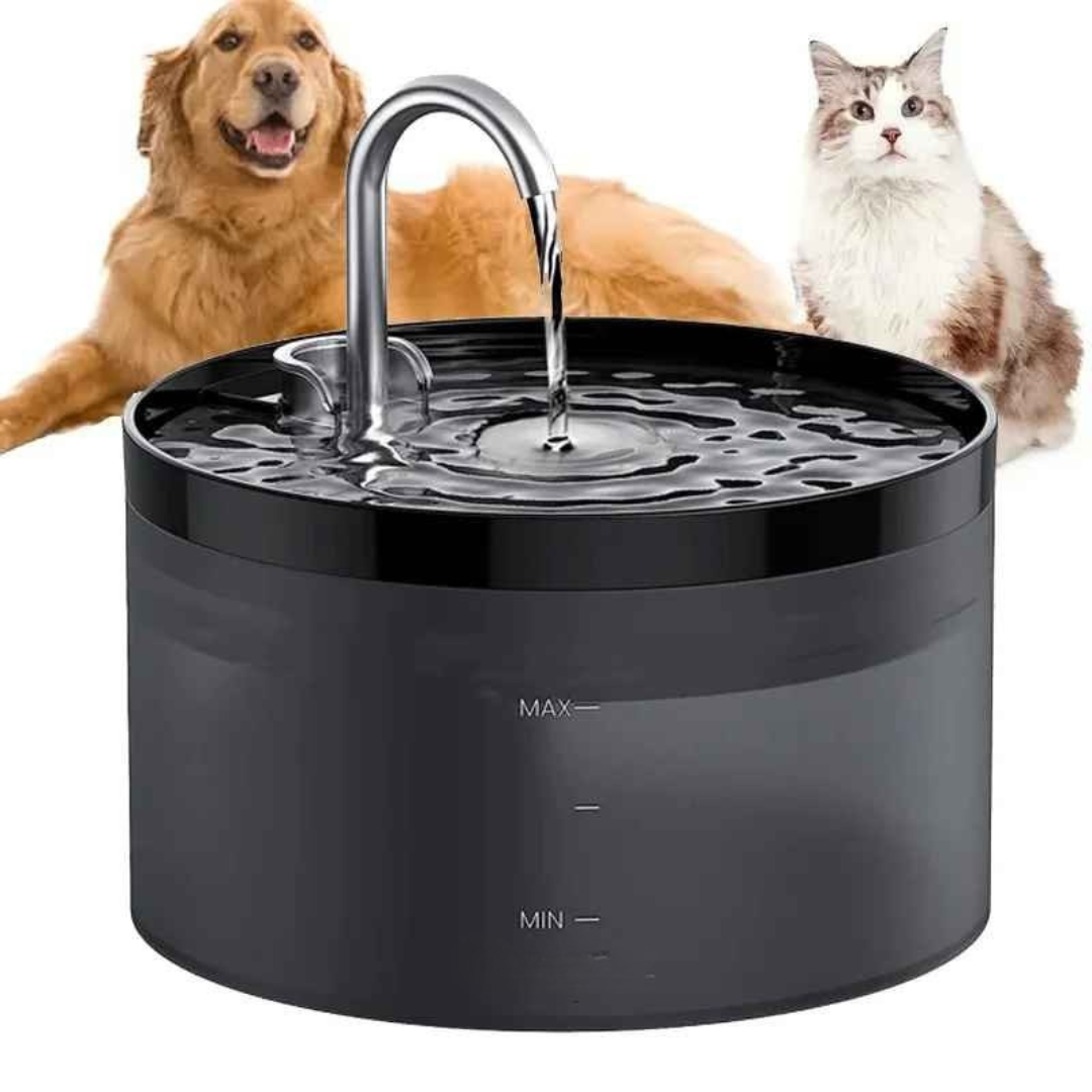 Bebedouro de Água para Pets com Filtro Automático - Bebspet