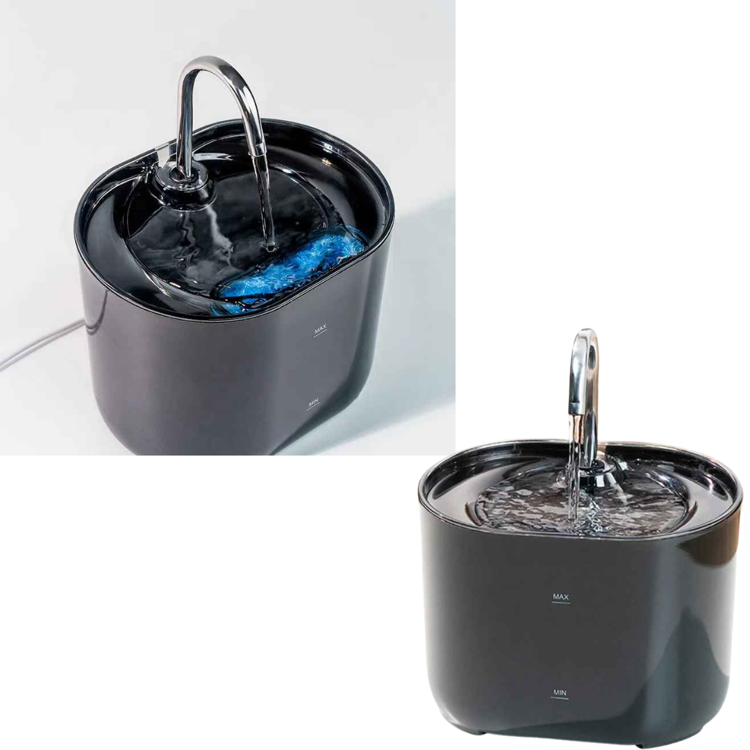 Bebedouro de Água para Pets com Filtro Automático - Bebspet