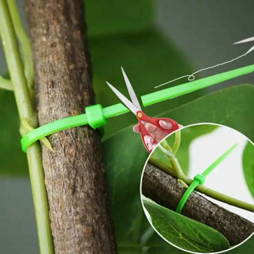 Abraçadeiras Tarap Enforca Gato Reutilizáveis para Jardim - Enfotarap