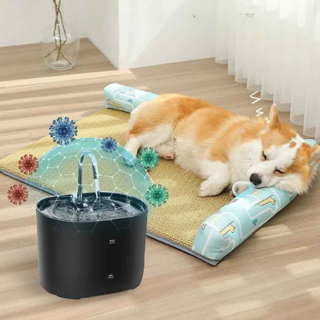 Bebedouro de Água para Pets com Filtro Automático - Bebspet