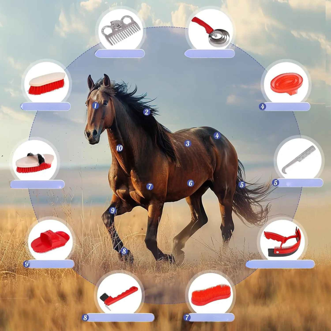Kit Ferramentas para Limpeza de Cavalos - Kithorse