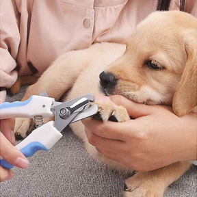 Tesoura Cortadora de Unhas para Animais de Estimação - Belamegui